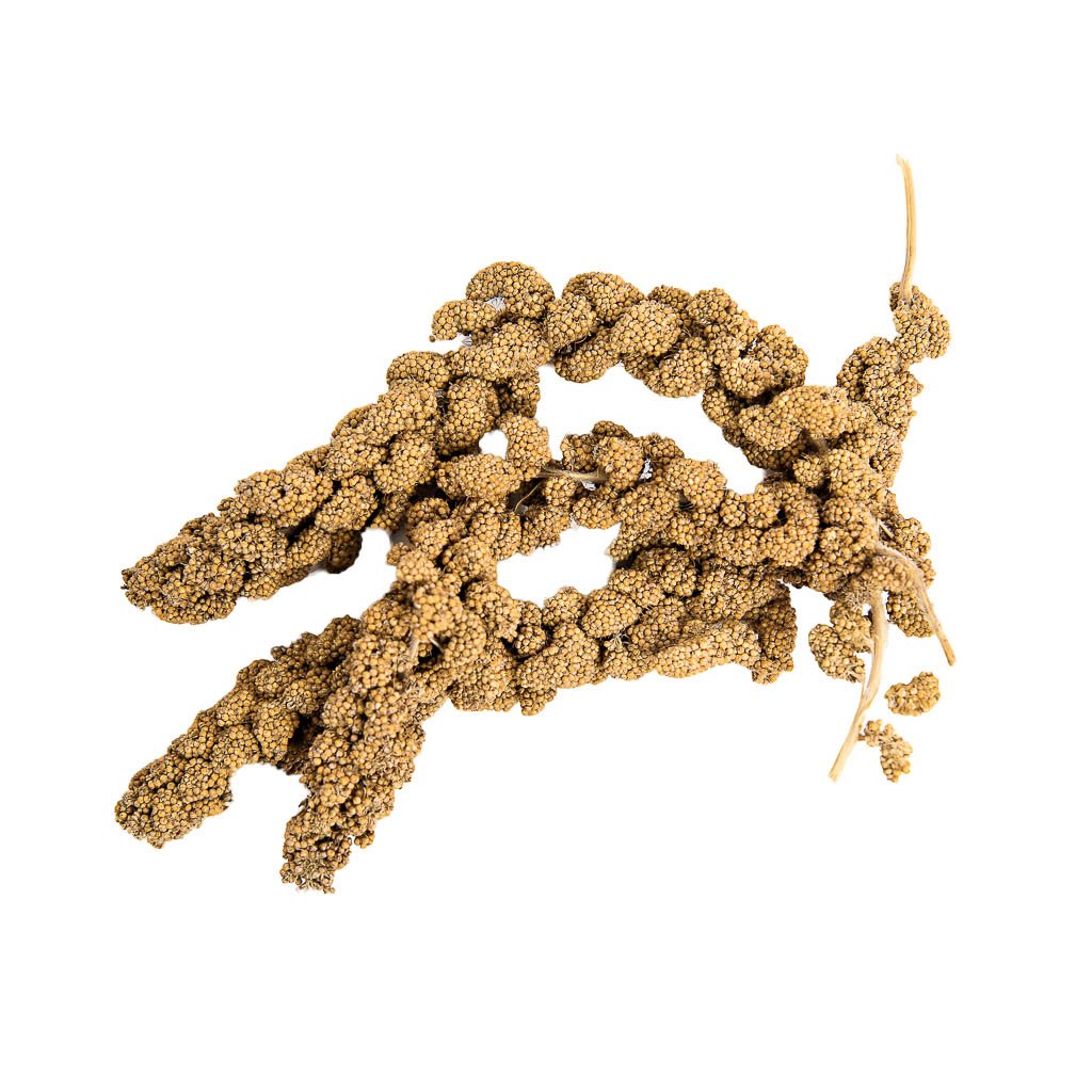 Millet Sprays | smallpetselect-development