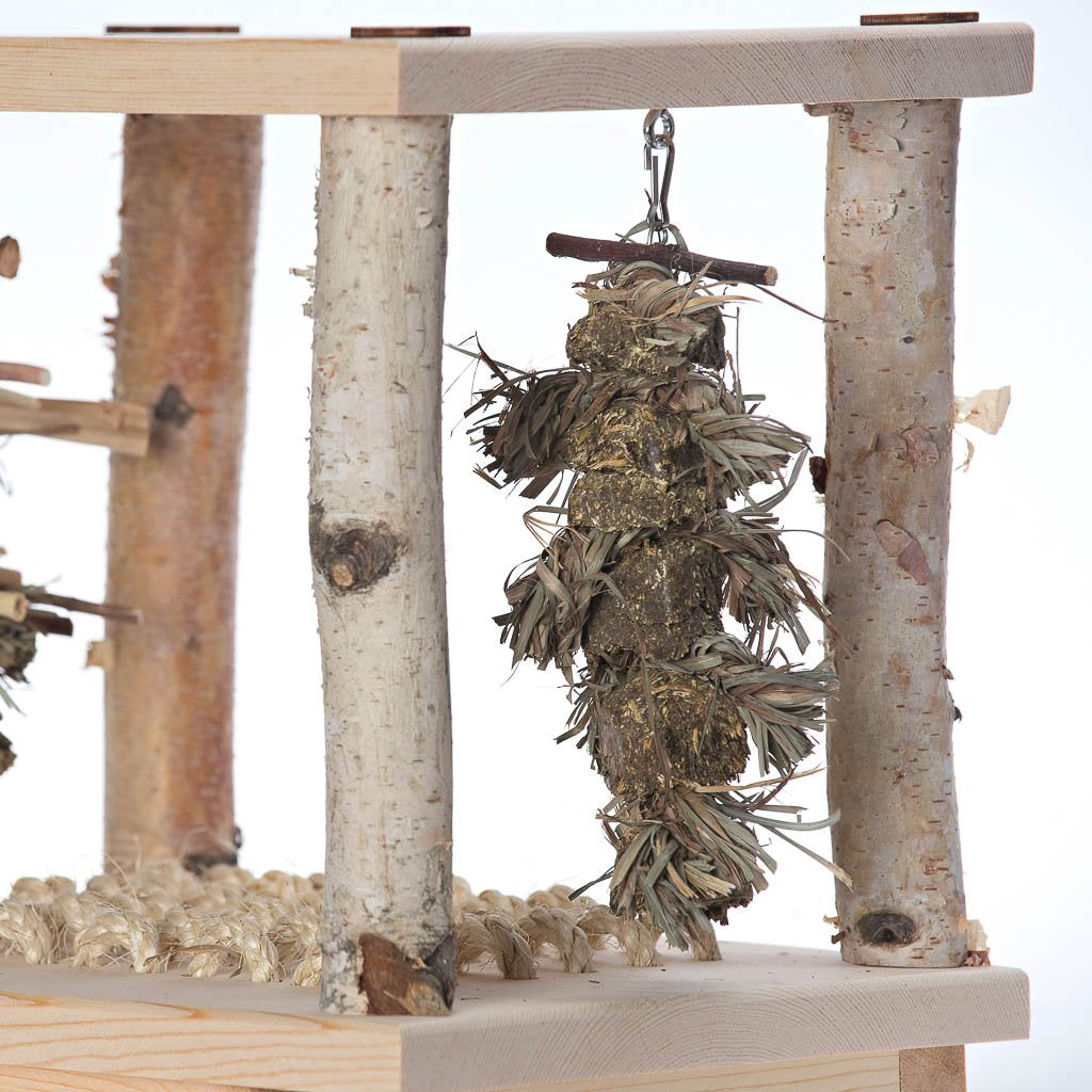 Wonderland Play Table | smallpetselect-development