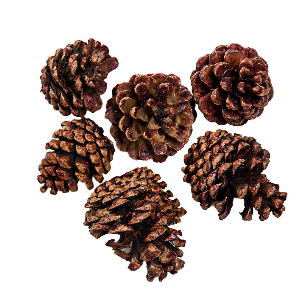 Fancy Fruited Pine Cone Chews | smallpetselect-development