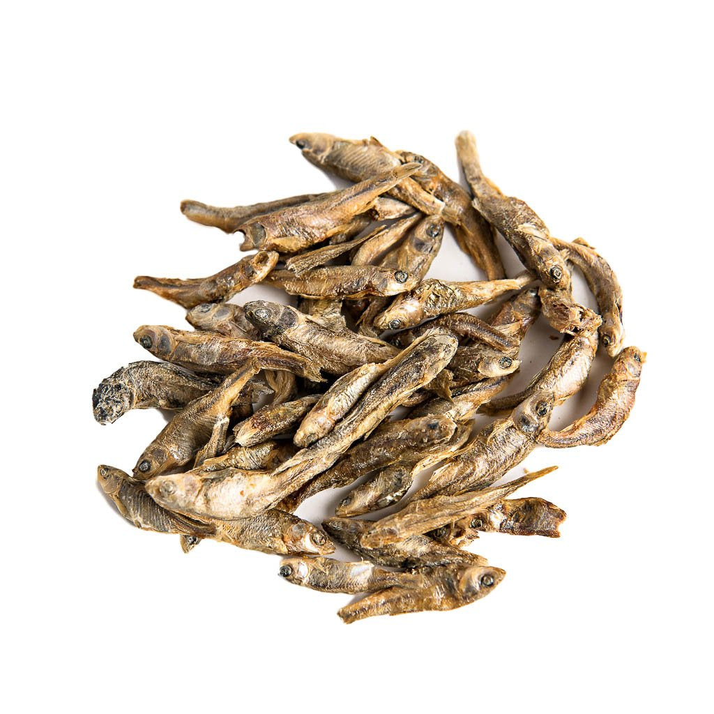 Ferret Extreme Munchy Minnows, Marshalls | smallpetselect-development