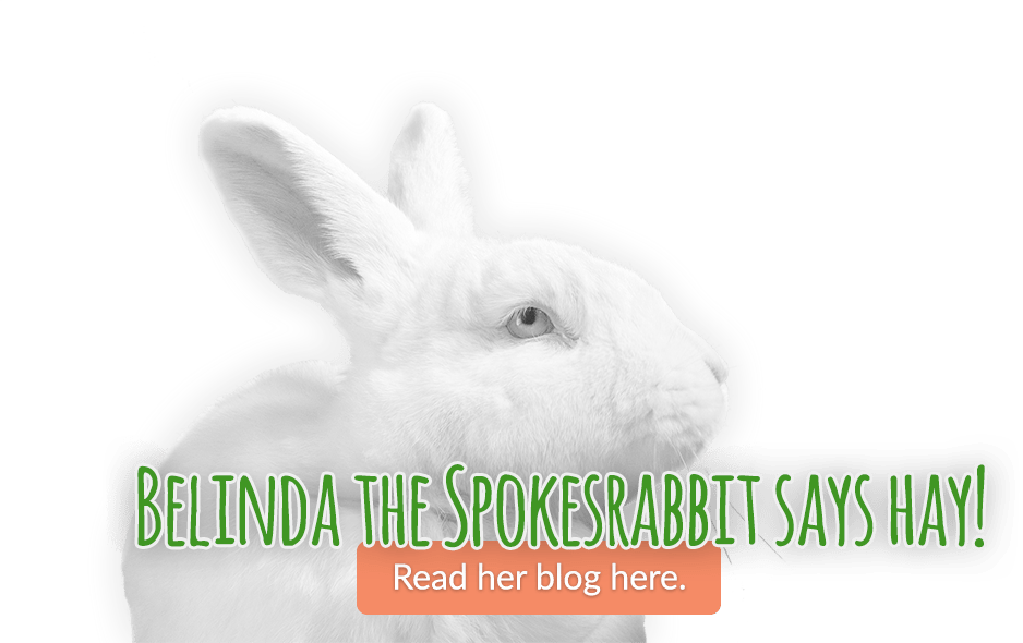 Belinda the Spokesrabbit says Hay! Read her blog here.